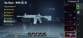 6 Seviye Buz diyarı bal gibi hesap ????