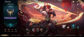 3 EFSANEVİLİ 65 SEVİYE ZUMRUT WR HESABİ 