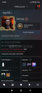 600$ 80 OYUNLU 23 LVL EFSANE STEAM HESABI