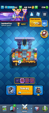 6000 kupa 33 lvl hesap