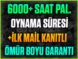 ⭐️6000+ SAAT PALADİNS STEAM❤️+İLK MAİL❤️