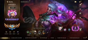 60k koleksiyon 334 skin imparator gormıs hesap