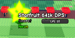 610K DPS NEON 2.4KG STARFRUİT
