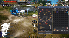 61LV 316 AP 404 DP STRIKER HESAP - CLIENT HESAP