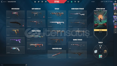 62 TANE ANİMASYONLU SKİN OLAN İMMO GÖRMÜŞ HESAP