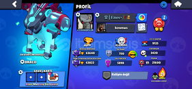 63 k bol kostümlü hesap 