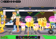 63 m/s sakız ve gold efektli los combi