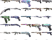 63 Skin, 28150 VP ENVANTER