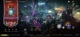 65 kostümlü 130 seviye elmas ucuza hesap