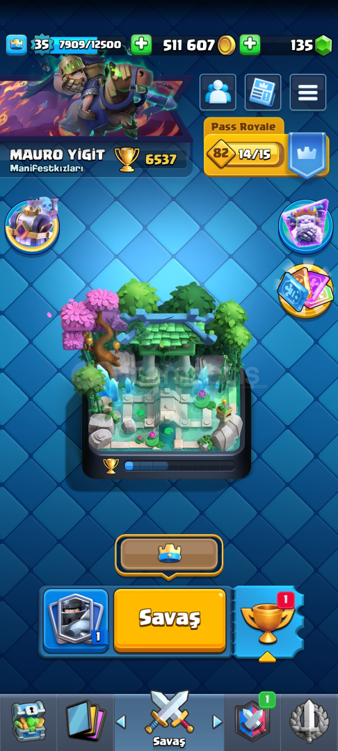 6500 KUPA CLASH ROYALE HESABI 2EVRİM 118 KART