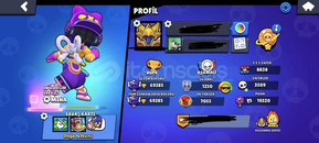 69K BOL KOSTÜMLÜ BRAWL STARS HESABI