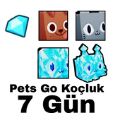 7 Günlük Koçluk Pets Go