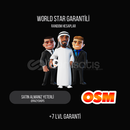 +7 LVL WORLD STAR GARANTİLİ RANDOM HESAPLAR