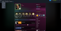 7 TANE MADALYALI CS 2 HESABI 50 TANE PARALI OYU