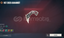 7 VANDALLI 14.780 TL YATIRILMIŞ FIRSAT HESAP