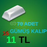 70 GÜMÜŞ KALIP