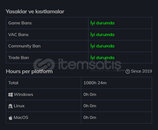53973tl değerinde hesap 70 Oyun + CS:GO Prime 
