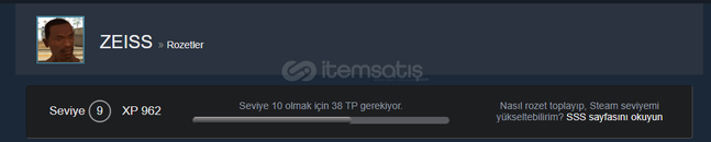 70 OYUNLU STEAM HESABİ MAİL DEĞİŞEN