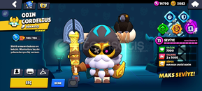 +70 SKİN 14K 129 ELMAS