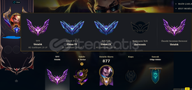 LOL/TFT 704 level 274 kostümlü emek hesabı