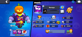 70K SATÜRN ŞÖHRETLİ MAX HESAP