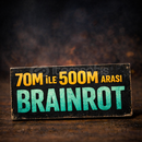 70M - 500M arasi Brainrot