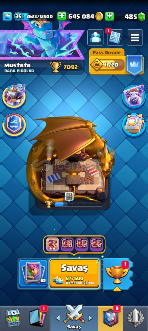 7.100 KUPA 8 EVRİM DOLU DOLU HESAP