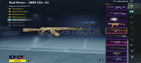 72 Lvl 38 Destansı pubg hesabı 