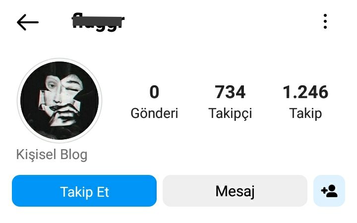 730+ Takipçi'li Instagram Hesabı 