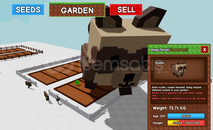 73KG TITANIC TANUKI 100 YAŞ!!!