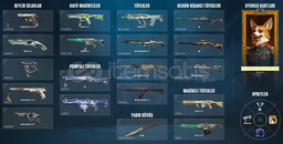 75+ skinli, TR Valorant hesabı