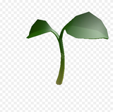 75 sprout
