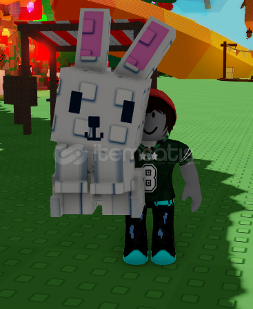 75 yaş bunny 75 yaş bunny