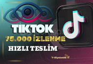 75.000 Tiktok İzlenme