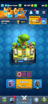 7600 Kupa 5 evrim 115 kart 47 seviye hesap