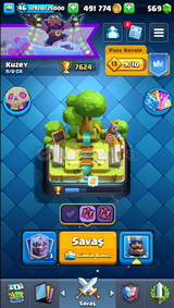 7700 KUPA 118 KART 5 EVRİM 20K BS ÇOK İYİ!