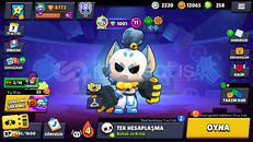 8773 Kupa 48 Karakter Çok İyi Kasılmalık Hesap