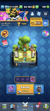 ⭐7800 KUPA⭐ 117 Kart 4 evrim
