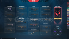 8 TANE SKİN 8K VP YATIRILDI 