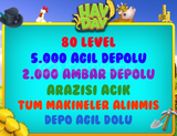 80 LEVEL 5000 AGIL 2000 AMBAR DEPOLU OYUN