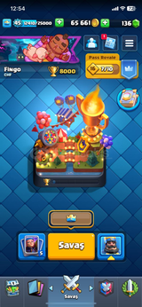 8000 kupa 3 evrim+bs hesabi