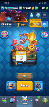 8000 KUPA 42 LEVEL CR HESAP