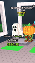 80M/S Spooky and pumpky
