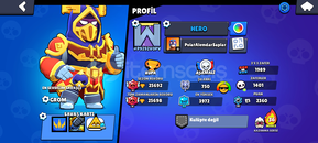 81 karakter+100 kostüm 27k kupa