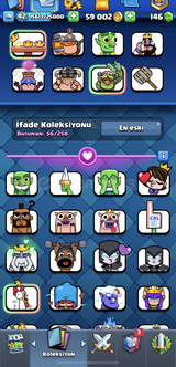 8242 kupalı 8 evrimli main hesap satılık 