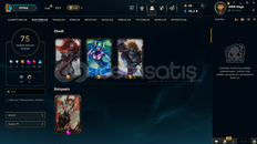 83 SEVİYE 75 KOSTÜM 111 ŞAMPİYON MAİL DEĞİŞEN