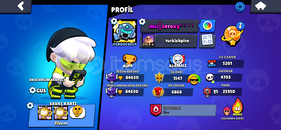 84 k 250+ skin mis gibi hesap