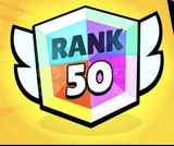 850 Den 1000 Kupaya ⚡ LEON