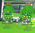  (8.5m/s)2x Graipuss Medussi[Steal A Brainrot]