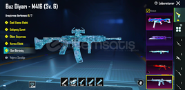 87 DESTANSILI , Buz M4 6 svy Nadir dolu hesap.